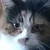 TusNua :icontusnua: