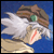 :icontusume-: