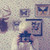 :icontutiagus: