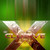 :icontutonix: