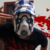 :icontuyenbrook: