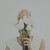 :icontuyenktran: