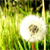 :icontvmovie: