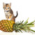 :icontvstatic:
