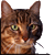 :icontweakad: