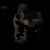 :icontweehii: