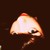 :icontweenerdoodle: