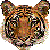 :icontwelveart: