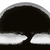 :icontwelvethings: