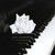 :icontwi222: