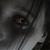 :icontwi5t3d-p1ac360: