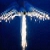 :icontwi924: