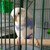 :icontwibelle4678: