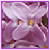 :icontwig7998stock: