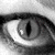 :icontwiggs: