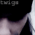 :icontwigs: