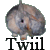 :iconTwiil: