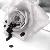 :iconTwilight-1200: