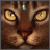 :icontwilight-ghost: