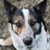 :icontwilight-has-fallen: