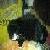 :icontwilight-lupus: