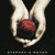 :icontwilight-series-fans: