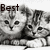 Twilight180 :icontwilight180: