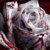 :icontwilight6666: