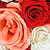 :icontwilightaria: