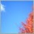 :icontwilightcomplex: