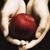 :icontwilightfangirl14: