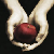 :icontwilightfc: