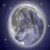 :icontwilightllbasset: