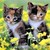 :icontwilightlover1040: