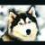:icontwilightmaster2: