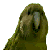 :icontwilightnul: