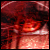 :icontwilightrequiem92: