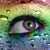 :icontwilightrose917: