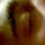:icontwilightsheep: