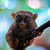 :icontwilightspc: