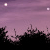 :iconTwilightsSavior: