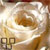 :icontwilit-angel1830: