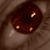 :icontwilitkitsune:
