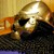 :icontwin-oaks-armoury: