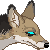 :icontwinjackal: