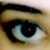 :icontwinkletinker: