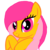 :icontwinkletwir: