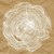 :icontwintrees-designs: