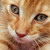 Twist28 :icontwist28: