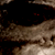 :icontwiste: